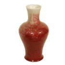 A Chinese porcelain vase in Red color