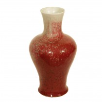 A Chinese porcelain vase in Red color