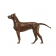 A JAPANESE BRONZE DOG