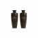 A PAIR OF JAPANESE BRONZE VASE