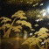 Japanese Makiye lacquer tray in frame