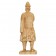Terracotta standing Ming male figure
