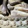 Pagan bronze seated Buddha