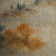 Chinese painting on silk